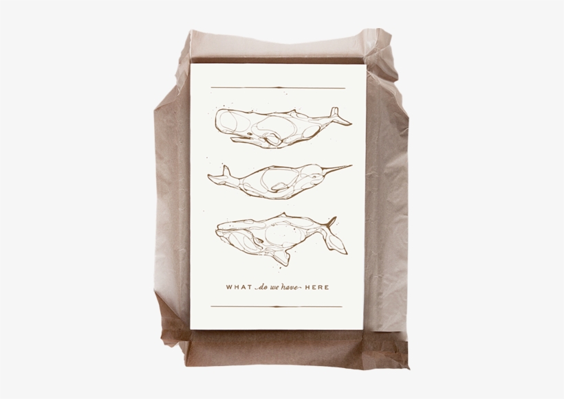 Whales - Mail Bag, transparent png #4106263