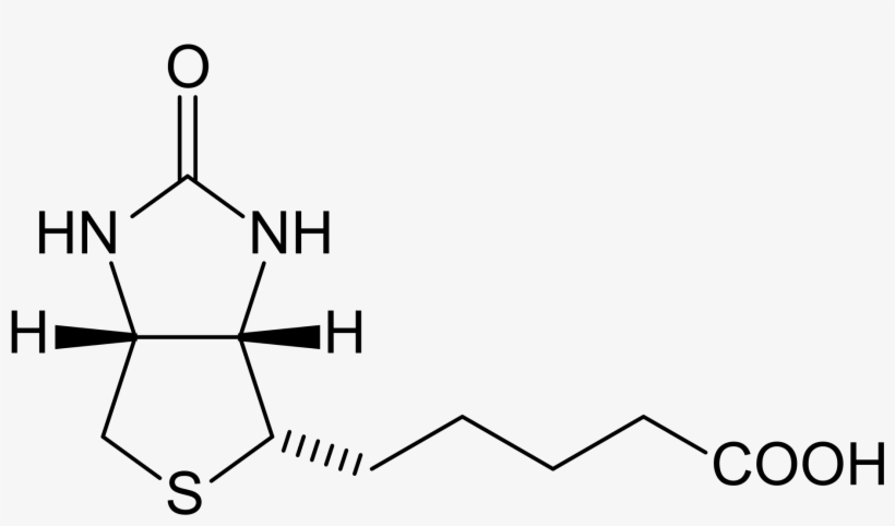 Hoofs Biotin Structure - Chemical Structure Of Vitamin B7, transparent png #4106399