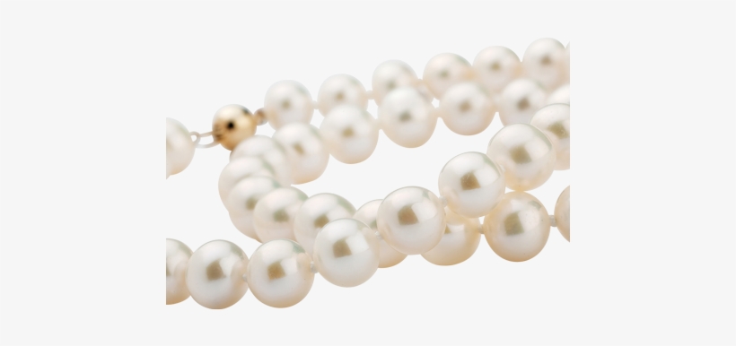 White Pearl Necklace - Pearl, transparent png #4106524