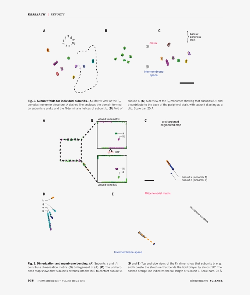 Diagram, transparent png #4107402