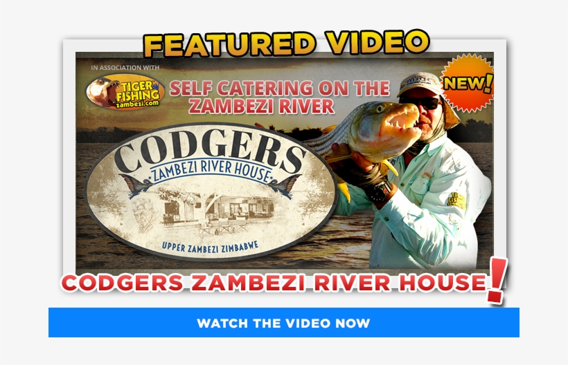 We Would Like To Proudly Introduce - Poster, transparent png #4107562