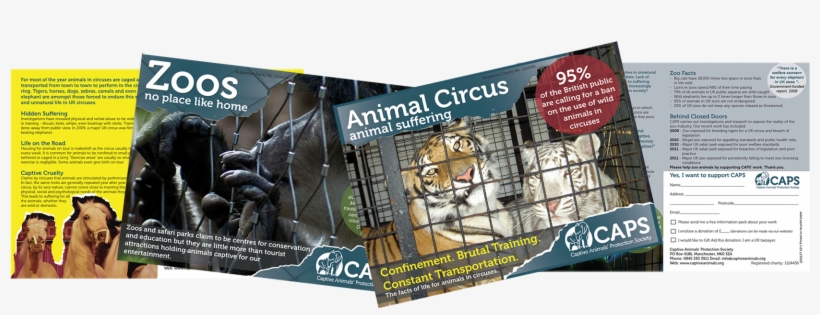If There Are No Nearby Zoos Or Circuses For You To - Flyer, transparent png #4107834