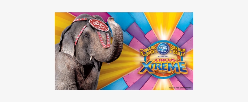 And Barnum & Bailey - Ringling Bros And Barnum & Bailey Cinnamon Animal, transparent png #4107952