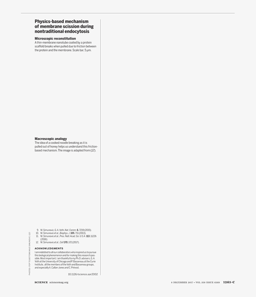 Document, transparent png #4108360