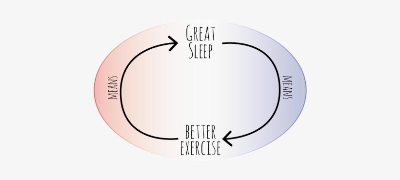 A Regular Exercise Routine Has Been Shown To Help People - Exercise And Sleep Relationship, transparent png #4108819