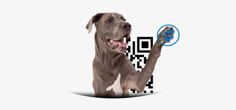 Perro Huella - Promika Zoguard Plus - X-large (89-132 Lbs) (3 Dose), transparent png #4109672