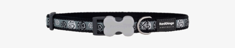 Red Dingo Skull & Wire Xs Dog Collar, transparent png #4110204