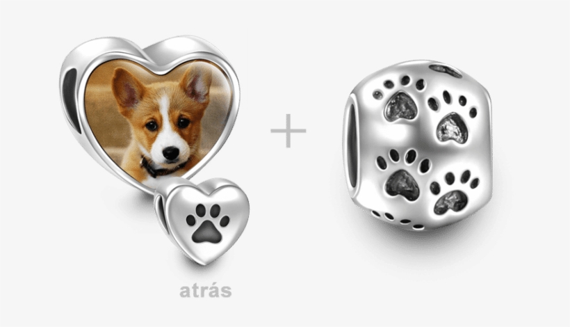 Pets Charms Soufeel Pet Paw Print Personalized, transparent png #4110330