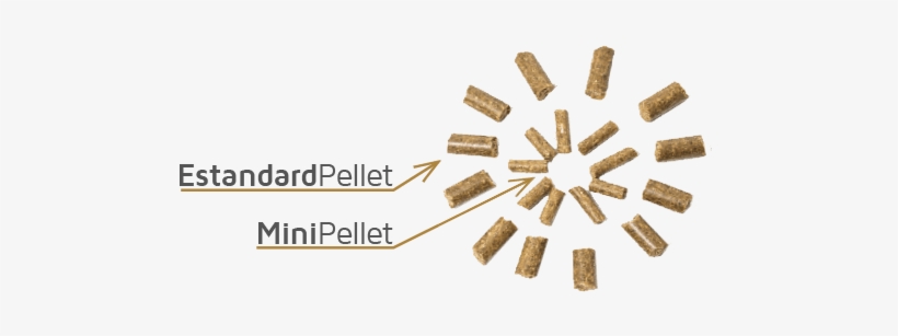 Minipellet - Joint-stock Company, transparent png #4110426