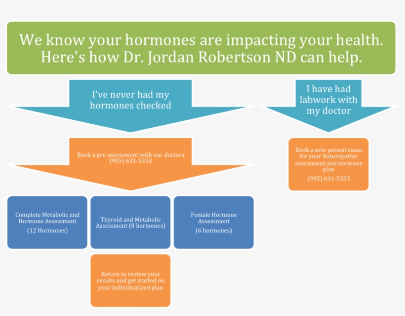 Hormone Flow Chart 2 - Metro North Hospital And Health Service, transparent png #4110617