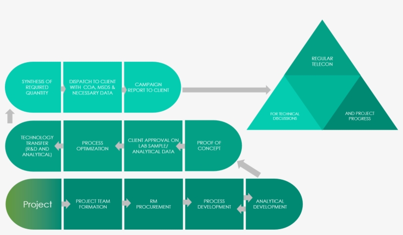 Pm Flow Chart - Science, transparent png #4110696
