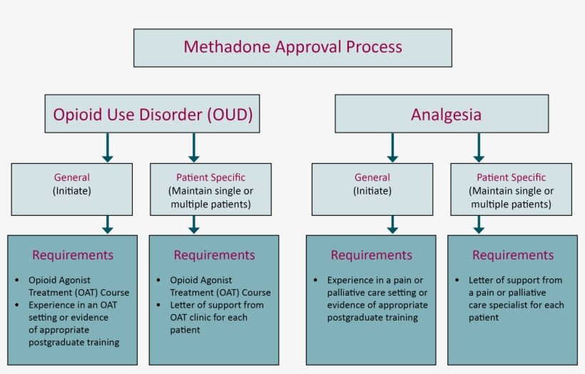 Methadone Approval Process Flow Chart - Flowchart, transparent png #4111071