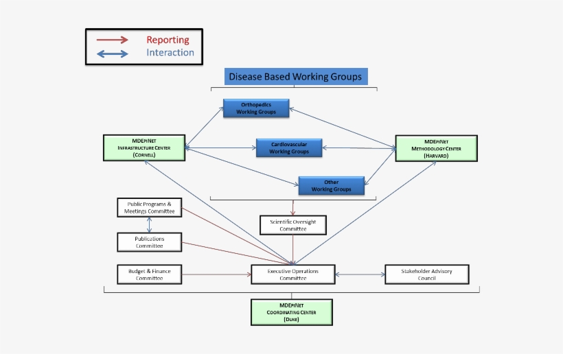 Disease Based Wroing Group Flow Chart - Charter Flow, transparent png #4111641