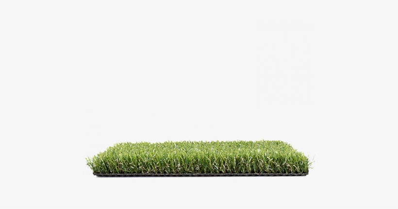 Hedge, transparent png #4111662