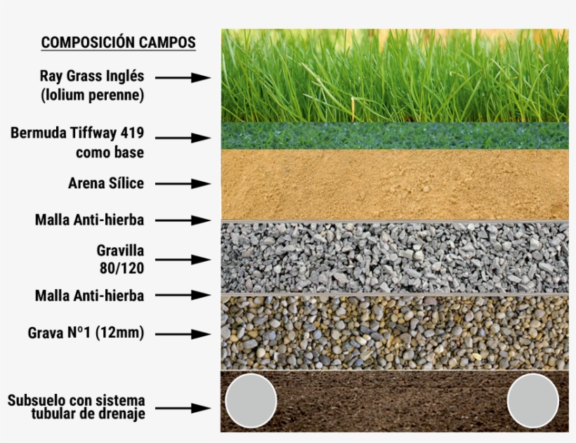 Césped Natural - Marbellla Football Center, transparent png #4111778