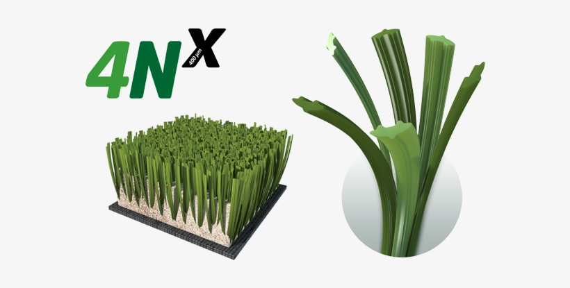 El Césped Perfecto Salta A La Pista - Mondo 4nx, transparent png #4112169