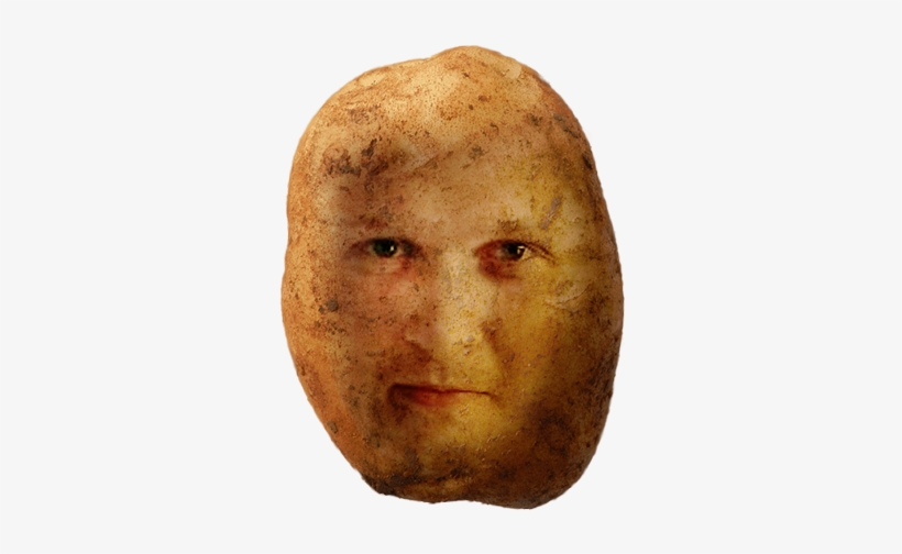 Nato Potato Is Still Recruiting Join Us Now, And Get - Squash, transparent png #4113154