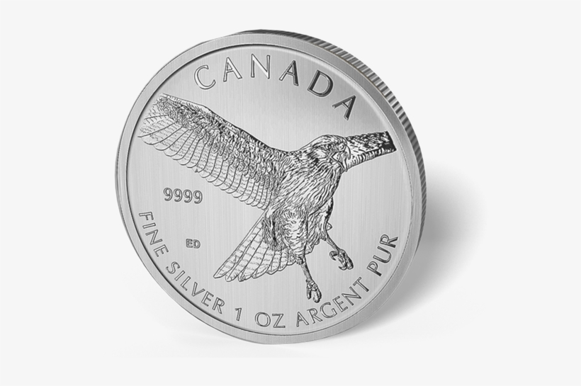 Picture Of 2015 1 Oz Canadian Silver Maple Leaf Red-tail - Red-tailed Hawk, transparent png #4113209