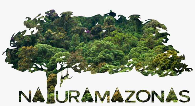 Logo Arbol Bosque, transparent png #4113231