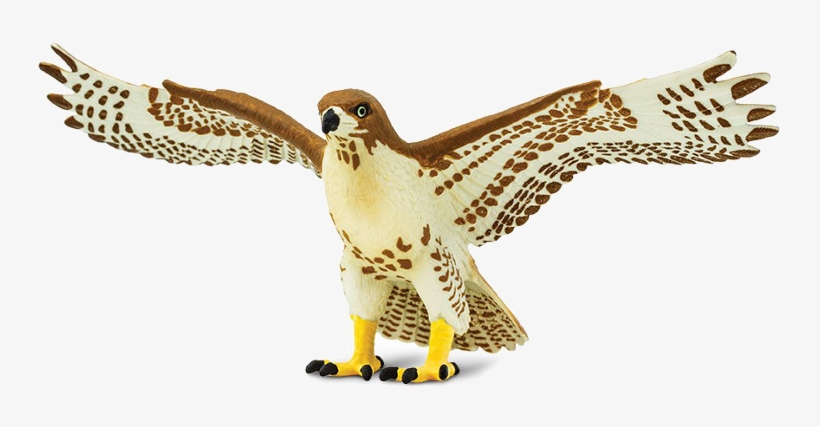 Buy Action Figure Safari Red-tailed Hawk 151029 Elkor - Red Tailed Hawk Toy, transparent png #4113285
