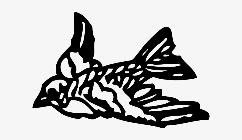 Small Bird, transparent png #4113530