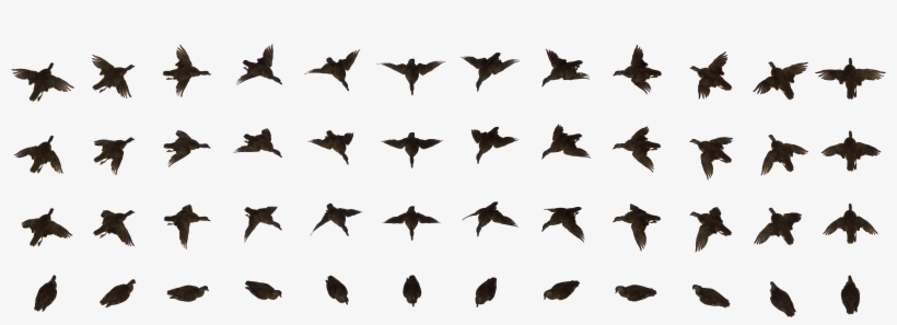 Here Is A Rough Cut Of The Animation, transparent png #4113567