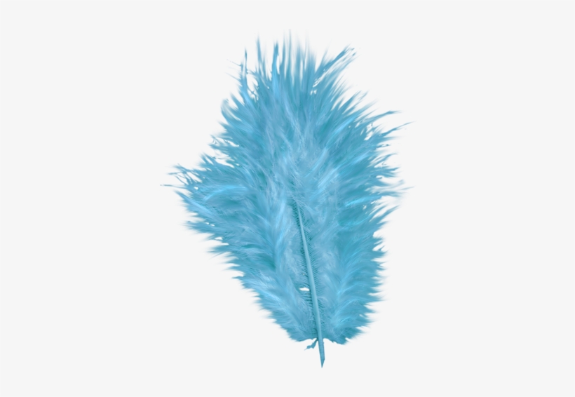 Purple Peacock Feather Clip Art Png Download - Drawing, transparent png #4113589