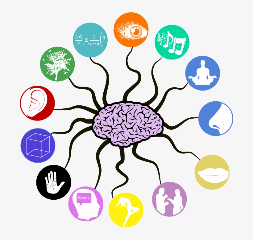 In Your Everyday Life, Do You Yourself Use Technology - Other Senses, transparent png #4113842