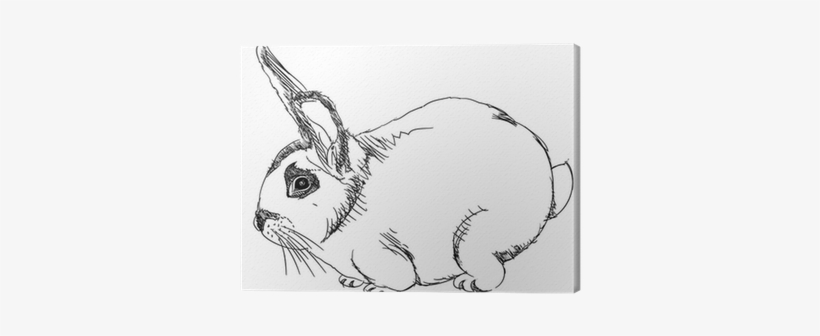 Isolated Cartoon Outline Rabbit On White - Illustration, transparent png #4113934