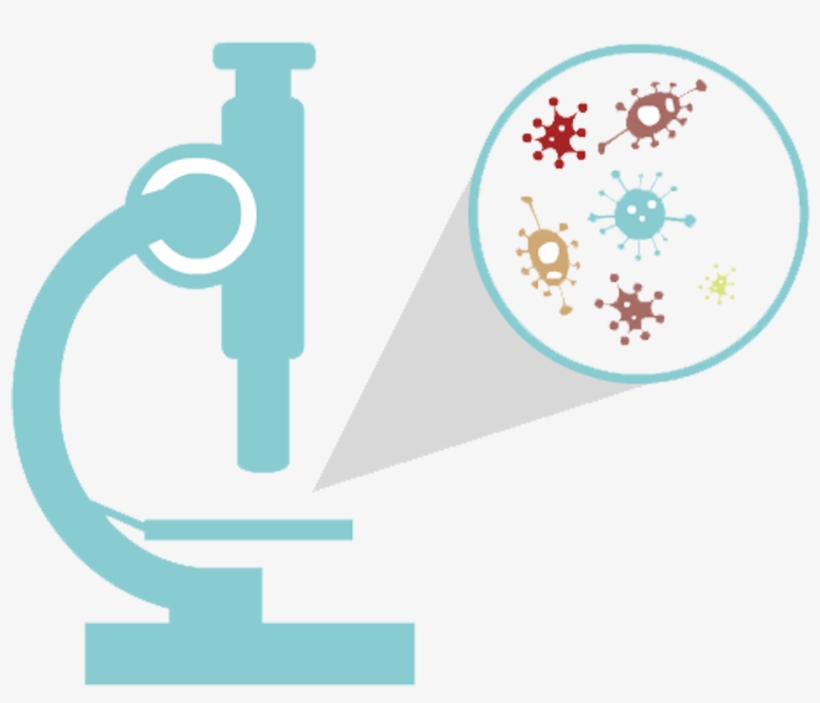 Clip Art Library Library Bacteria Vector Bacterial - Microscope Bacteria Clip Art, transparent png #4114263