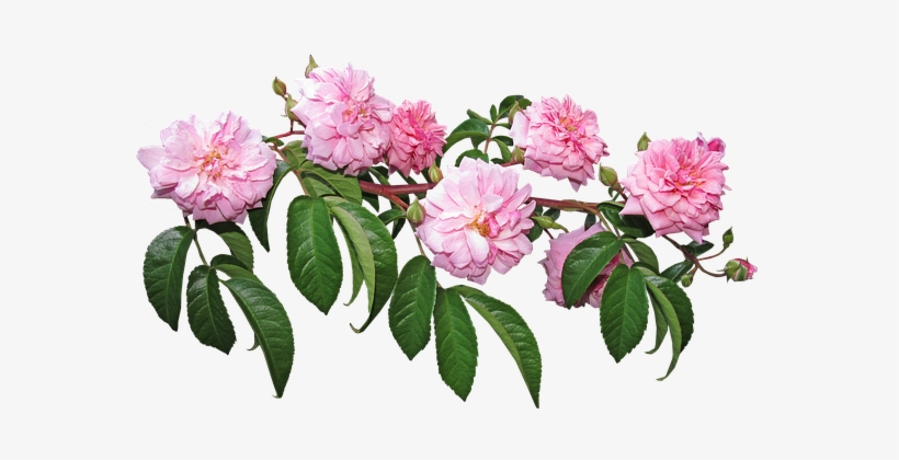 Illustration, transparent png #4115087