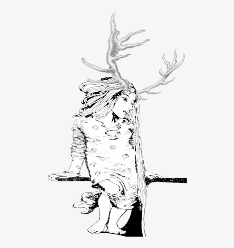 Is A Headdress, Or Is She Growing Them From Her Head - Druid, transparent png #4115285