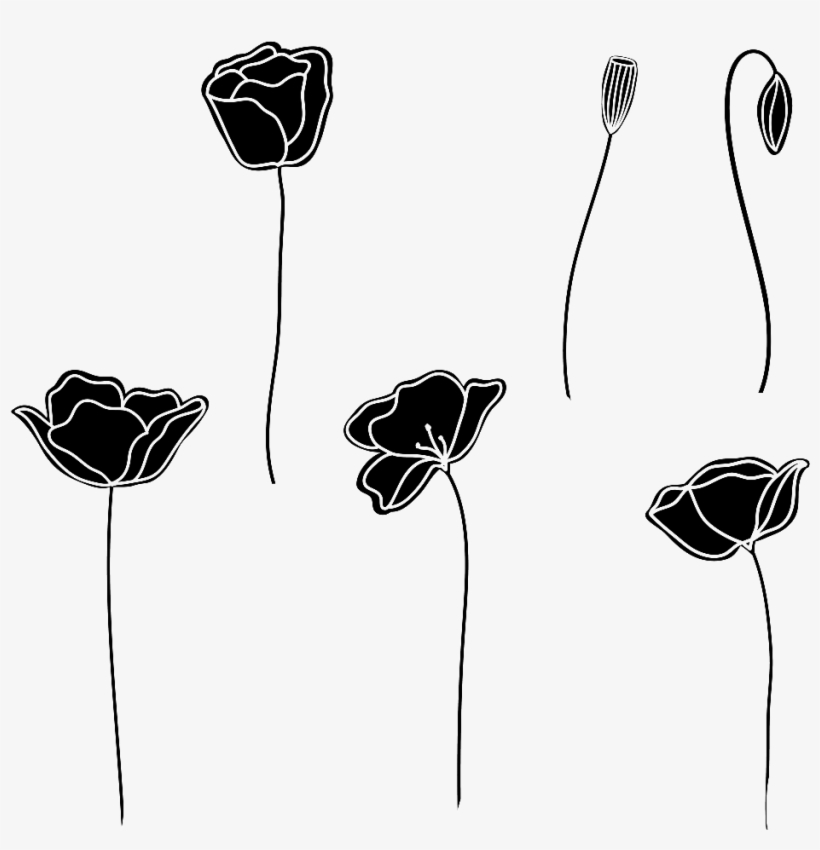 Black And White Hand Drawn Flower - Flores Branco E Preto, transparent png #4115443