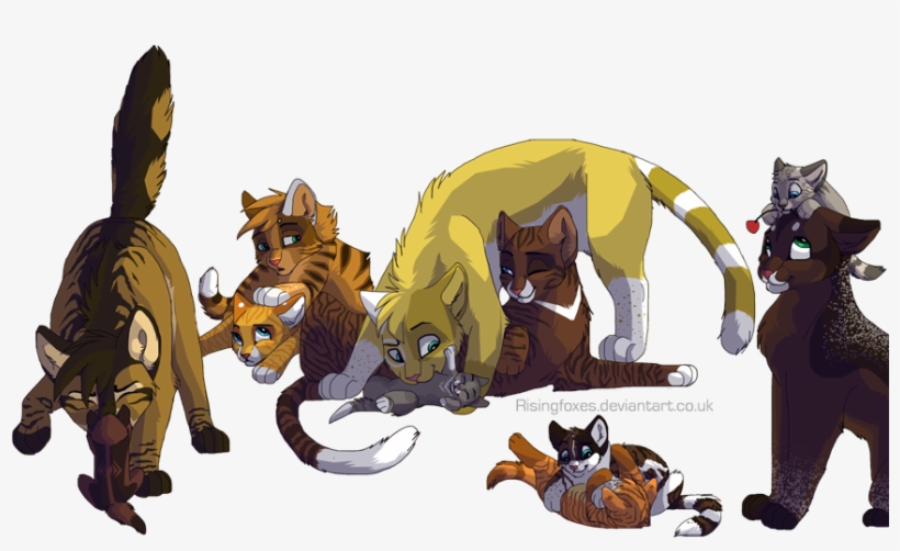 Forever Warriors Chats Images Warriors We Are Hd Fond - Warriors Cats Fan Art, transparent png #4115749