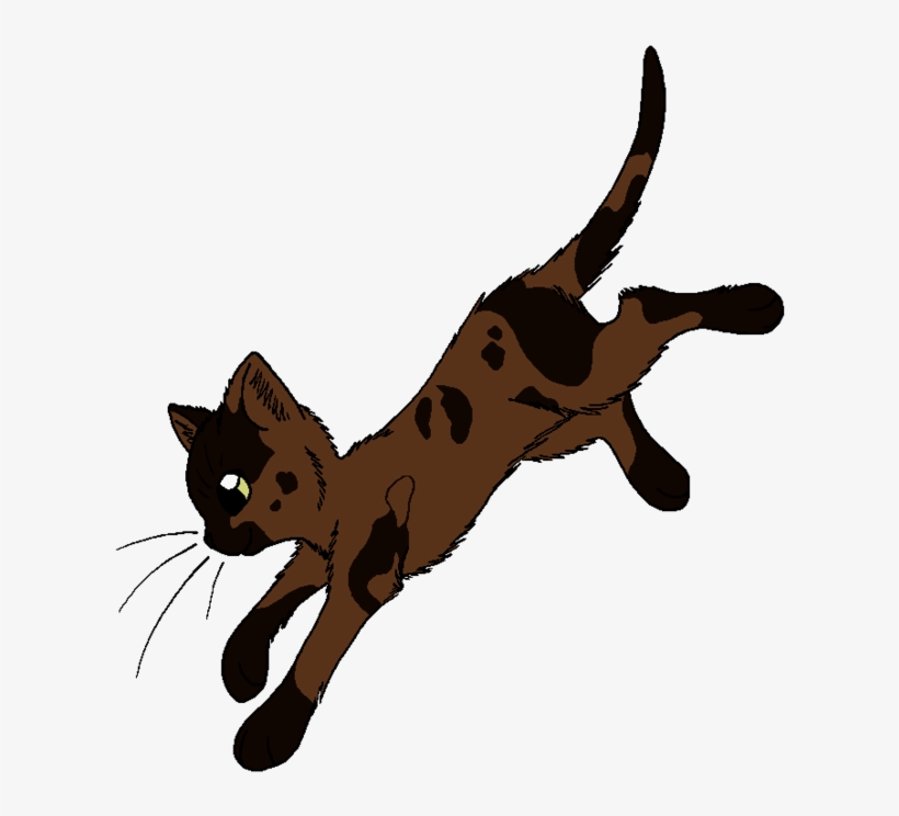 Beetle - Warrior Cats Dawn Of The Clans Leaf, transparent png #4115797