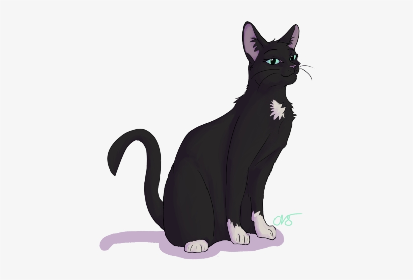 21 Moons Gender - Cat Yawns, transparent png #4115820