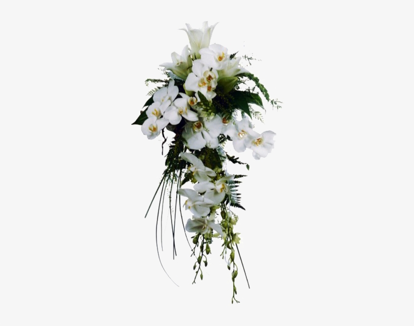 Calas Blancas - Flower, transparent png #4116327