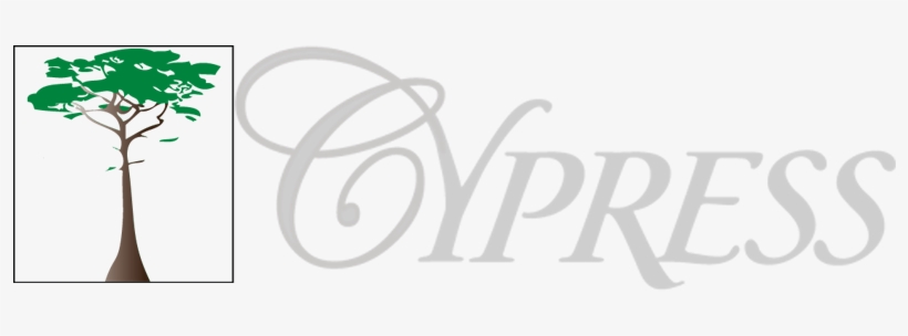 Cypress P & C And Cypress Texas Insurance Company Have - Cypress Insurance Logo, transparent png #4116422