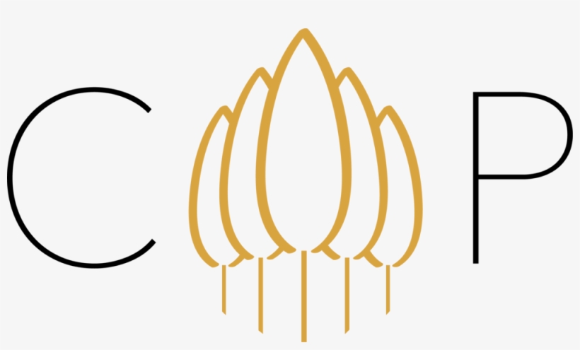 Cypress Png, transparent png #4116473