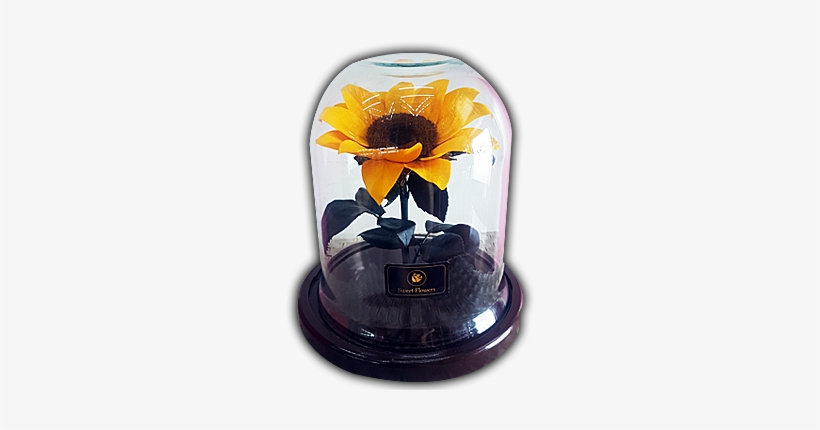 Flower, transparent png #4116677