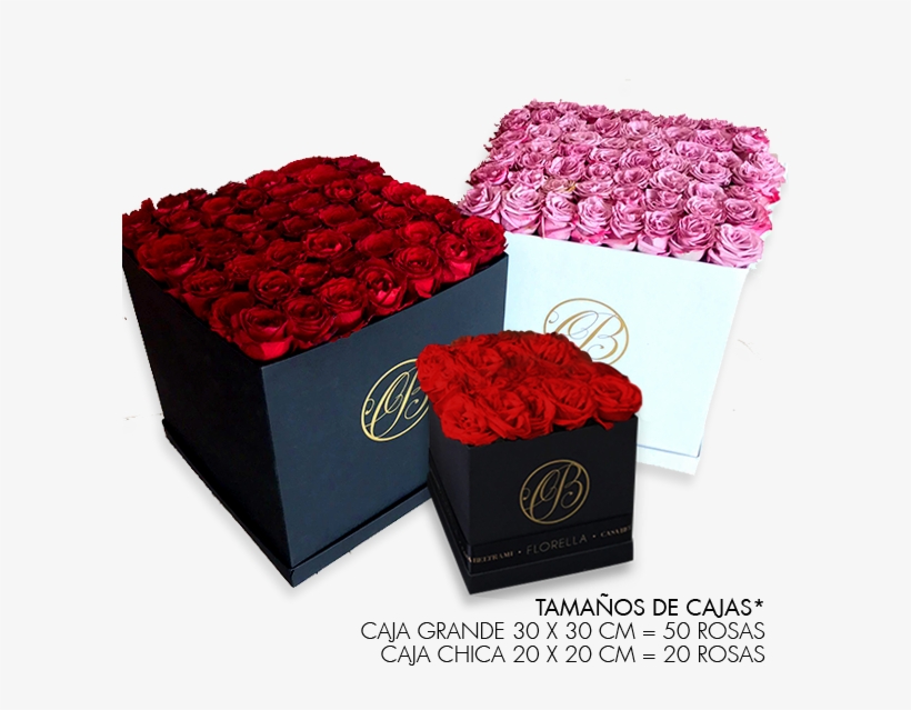 Caja Cuadrada De Rosas Lila - Garden Roses, transparent png #4116731
