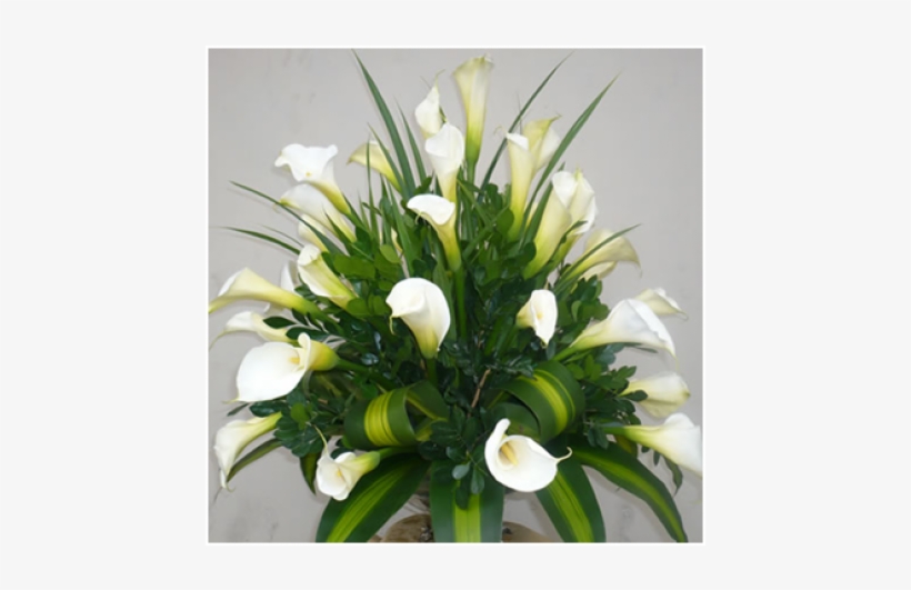 Floral Alma Blanca - Arreglos Florales Con Calas, transparent png #4116778