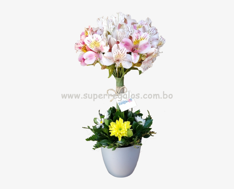 Arreglos Florales Envió De Flores, Desayunos Y Regalos - Peruvian Lily, transparent png #4117135