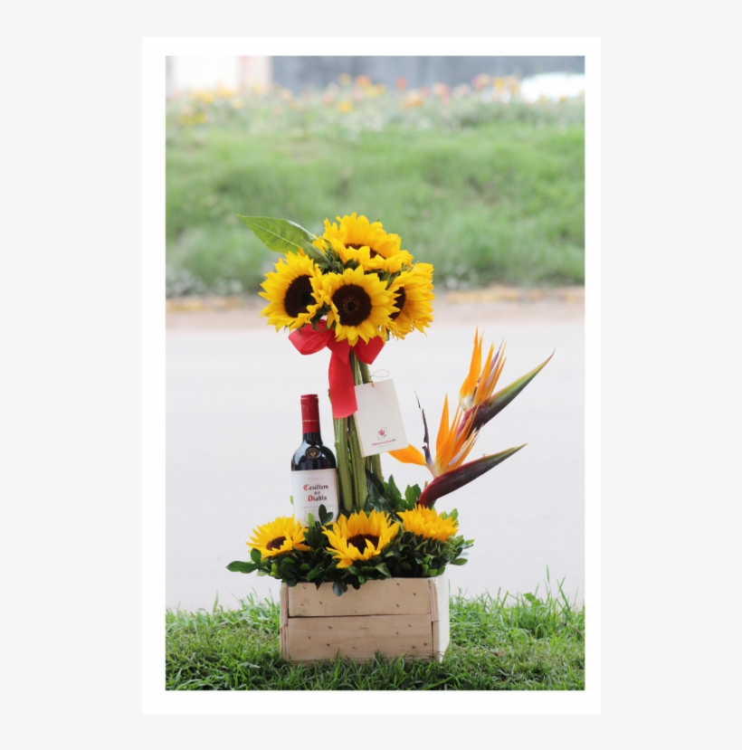 S/ - 171 - - Cusco, transparent png #4117160