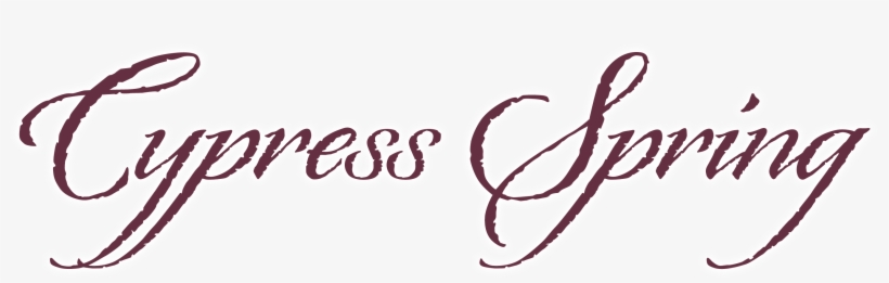 American White Trash, transparent png #4117248