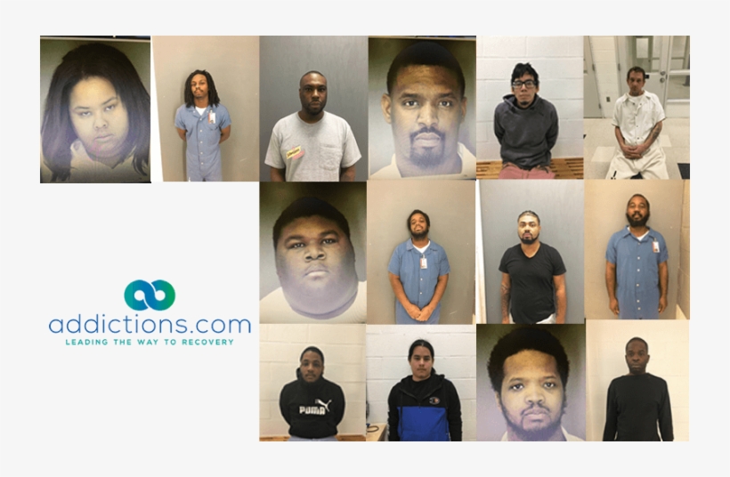 16 Arrested In Hudson Valley Cocaine Ring Bust - Hudson Valley, transparent png #4117268