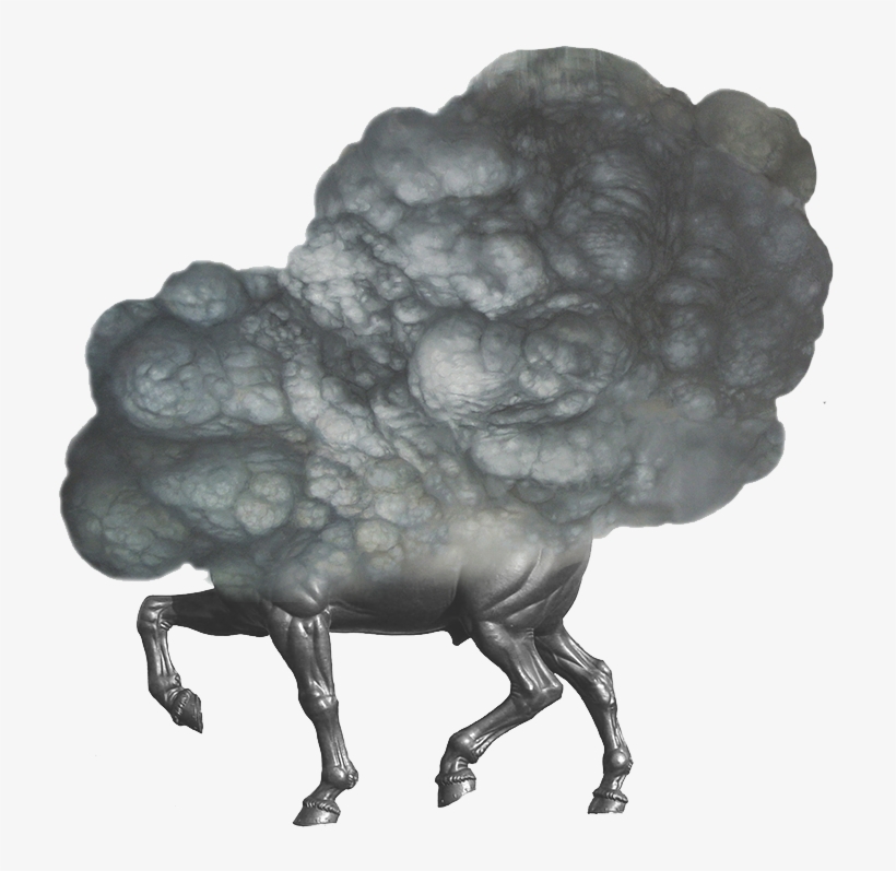 Exploding Horse Transparent - Horse, transparent png #4117448