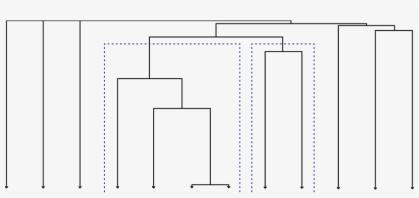 Dotted Line Boxes Show Two Clusters Groups - Diagram, transparent png #4117765