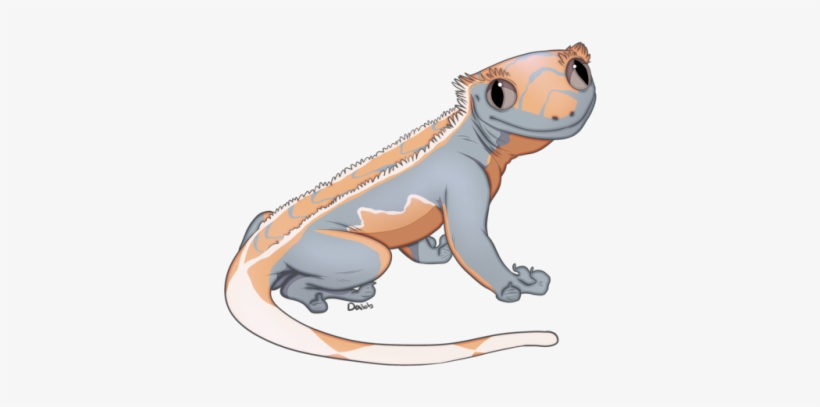 Crested Gecko Coloring Page - Crested Gecko Clip Art, transparent png #4118317