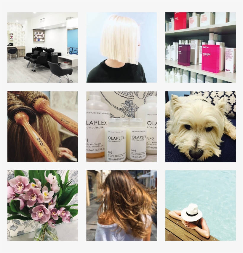 Template For Collage - Collage, transparent png #4119369